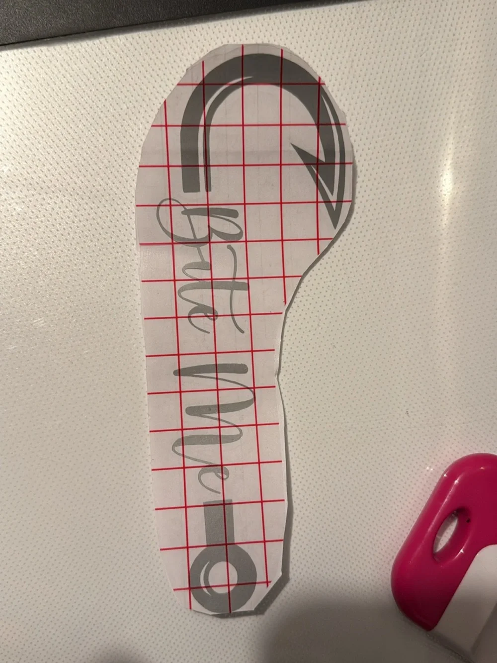 “Bite me” fishing hook grey decal